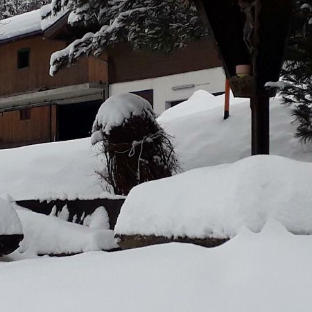 Appartement Wildkogelblick Neukirchen am Großvenediger Dış mekan fotoğraf